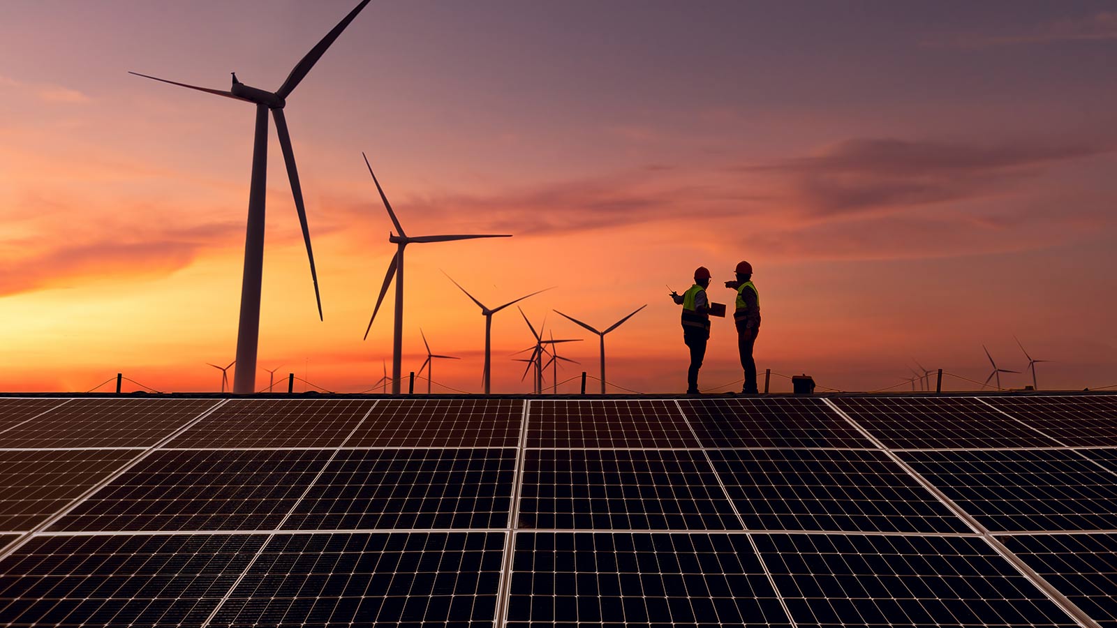 Project Zero: Harnessing solar energy in Cameroon